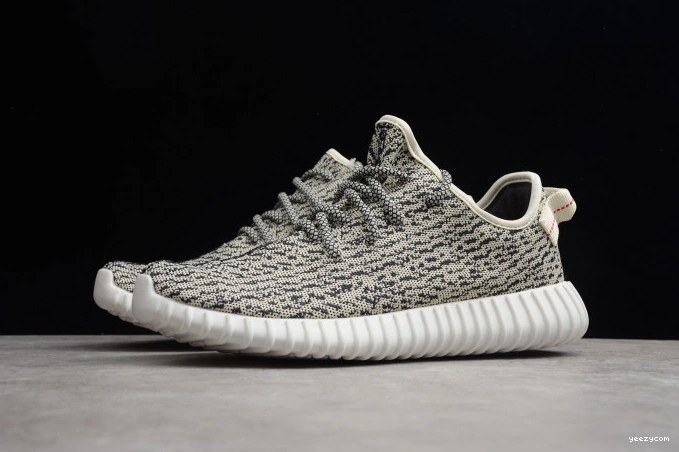 350 Adidas Dove Turtle YEEZY AQ4832 Boost 1001